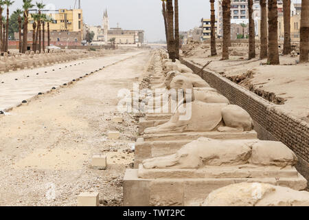 Viale di sfingi in Tempio di Luxor, città di Luxor, Egitto Foto Stock