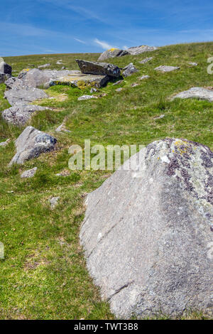 Affioramenti rocciosi su Carn Menyn nella Preseli Hills Pembrokeshire nel Galles Occidentale. Foto Stock