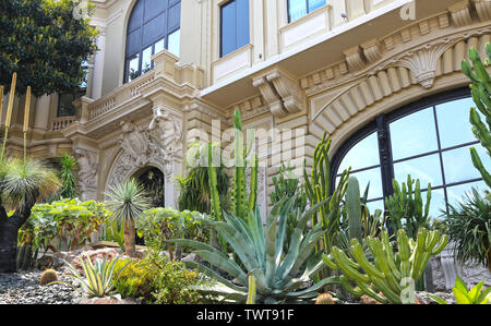 Montecarlo, Monaco - Giugno 13, 2014: tropicali piante meridionale nel parco vicino alla opera house e casino Foto Stock