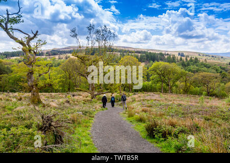 I camminatori sulle quattro cascate a piedi attraversano vaste aree di bosco abbattuto nel Parco Nazionale di Brecon Beacons, Powys, Wales, Regno Unito Foto Stock