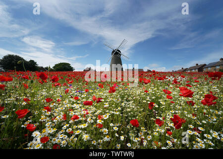 Papaveri e fiori circondano Whitburn Mulino a vento vicino a Sunderland. Foto Stock