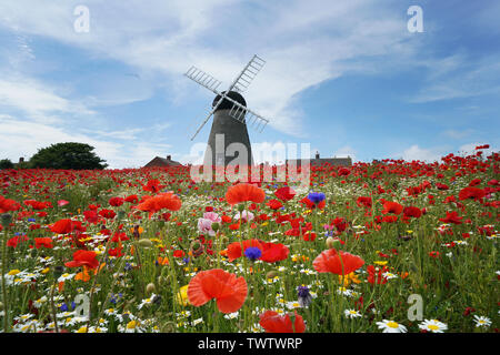 Papaveri e fiori circondano Whitburn Mulino a vento vicino a Sunderland. Foto Stock