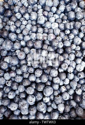 Vista dall'alto in basso su mirtilli, close up, laici piatta Foto Stock