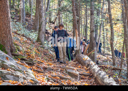 I giovani escursionisti sul sentiero in autunno presso il Parco Nazionale di Great Smoky Mountains. Foto Stock