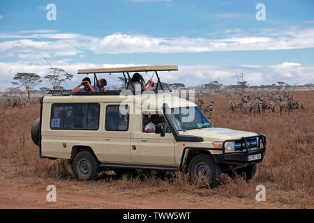 I turisti in un veicolo safari chiuso 4x4 Toyota Landcruiser con un tetto pop-top che guarda la mandria di zebre che si muovono attraverso il Parco Nazionale Serengeti, un sito patrimonio mondiale dell'UNESCO nelle regioni di Mara e Simiyu in Tanzania, Africa orientale Foto Stock