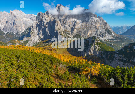Vivace contrasto tra sempreverdi e giallo i larici nelle Alpi italiane. Moiazza viste sulla montagna con i colori dell'autunno. Fogliame in Italia. Foto Stock