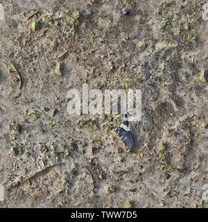 Molto dettagliate texture seamless pattern di acri di terra e sporcizia iin ad alta risoluzione Foto Stock