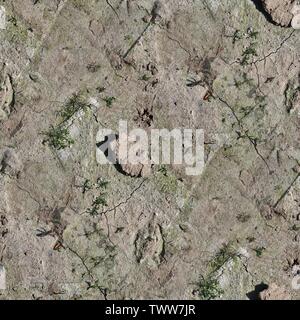 Molto dettagliate texture seamless pattern di acri di terra e sporcizia iin ad alta risoluzione Foto Stock