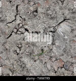Molto dettagliate texture seamless pattern di acri di terra e sporcizia iin ad alta risoluzione Foto Stock