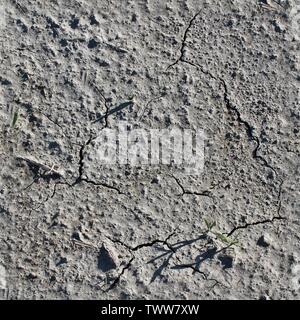 Molto dettagliate texture seamless pattern di acri di terra e sporcizia iin ad alta risoluzione Foto Stock