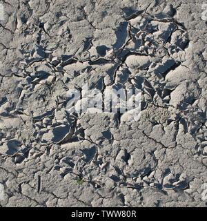 Molto dettagliate texture seamless pattern di acri di terra e sporcizia iin ad alta risoluzione Foto Stock