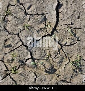 Molto dettagliate texture seamless pattern di acri di terra e sporcizia iin ad alta risoluzione Foto Stock