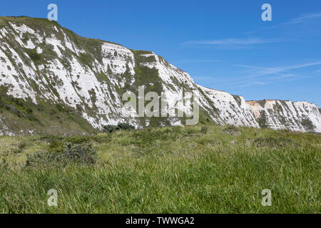Le Bianche scogliere a Samphire Hoe, Kent. Foto Stock