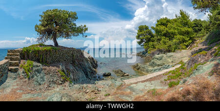 Lonely ulivo del rock in mare sullo sfondo Foto Stock