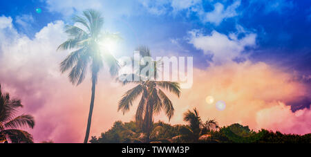 Silhouette di palme di cocco e sun flare su sfondo colorato. Foto Stock