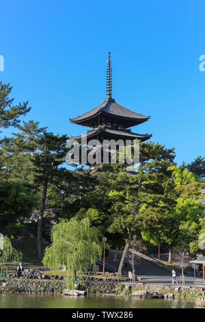 Kofukuji cinque piani pagoda di Nara, Giappone, presso la banca di un laghetto e salendo su alcuni tree tops. Foto Stock