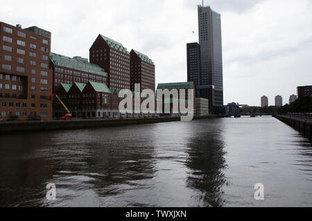 Fila di identico colore verde-case dal tetto lungo il porto di Rotterdam, Paesi Bassi Foto Stock