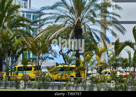 Giallo taxi nel sole tropicale di Funchal, Madeira, Portogallo, Europa Foto Stock