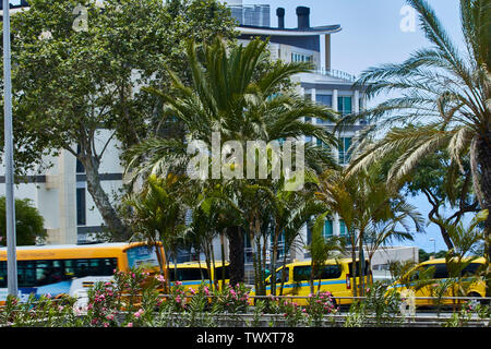 Giallo taxi nel sole tropicale di Funchal, Madeira, Portogallo, Europa Foto Stock