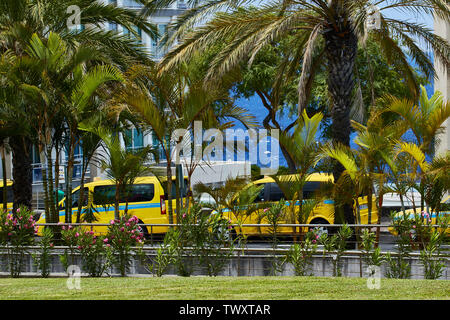 Giallo taxi nel sole tropicale di Funchal, Madeira, Portogallo, Europa Foto Stock