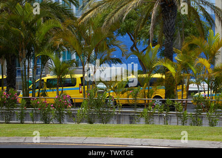 Giallo taxi nel sole tropicale di Funchal, Madeira, Portogallo, Europa Foto Stock