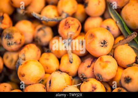 Nespole del Giappone di frutta o giapponese medlars sfondo. Eriobotrya japonica Foto Stock