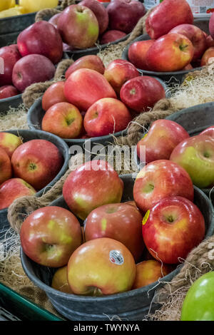 Wenatchee, Washington, Stati Uniti d'America. Espositore refrigerato di fresco raccolti cresciuti localmente Fuji e altre mele per la vendita a produrre stand. Foto Stock