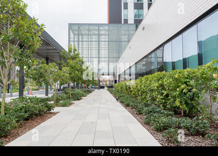 Foresta francese, Syd. Aust giugno 2019: L'ospedale Northern Beaches, recentemente aperto, ricomincia a leggere dopo la rimozione della parte del corpo sbagliata durante l'intervento chirurgico. Foto Stock