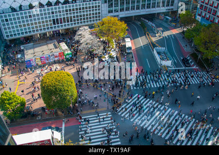 Incrocio di Shibuya o 'Scramble' come è comunemente chiamato, Tokio più iconico intersezione. Vista aerea di strada con la gente e del traffico. Foto Stock