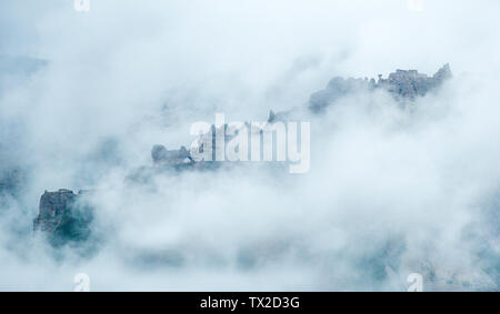 Tutte le immagini sono da Narathi prateria, Turgen fiori albicocca, Tianshan foresta di pietra, Saha scenario, Nanshan valle di betulla e così via. Foto Stock
