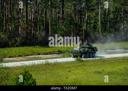 Stati Uniti Marines con Alfa Company, 2° luce Reconnaisance corazzato Battaglione, 2° Divisione Marine, condurre una luce veicolo blindato (LAV) Equipaggio Gunnery su Camp Lejeune, Cariolina del nord, 21 giugno 2019. Questo ha dato i Marines l'opportunità di qualificarsi sul campo da lavorare come un equipaggio per migliorare la loro letalità complessiva e la missione pronto quando implementato in avanti. (U.S. Marine Corps photo by Lance Cpl. Nathaniel Q. Hamilton) Foto Stock