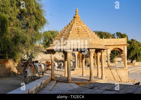 Gadi Sagar, Gadsisar Lago è una delle più importanti attrazioni turistiche in Jaisalmer, Rajasthan, India del Nord. Artisticamente scolpita templi e shrin Foto Stock