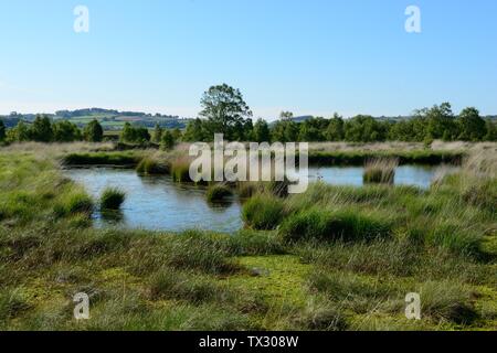 Cors Caron Riserva Naturale piscine dove la gente locale utilizzati per scavare il bog per zolle di pest ora allagate per la creazione di preziosi habitat Tregaron Wales UK Foto Stock