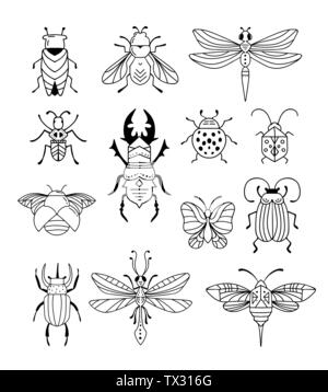 Bug, insetti, Butterfly, Ladybug, coleotteri, a coda di rondine, dragonfly collezione. Moderno set di icone, i simboli e le illustrazioni Illustrazione Vettoriale