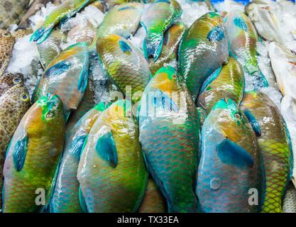 Pesce fresco al mercato del pesce di Jeddah, Arabia Saudita Foto Stock