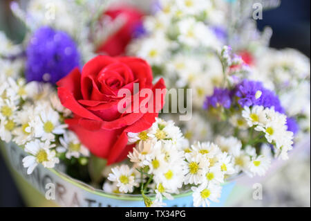 Close-up red bouquet di rose a fiore bianco sullo sfondo Foto Stock