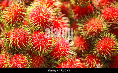 Rambutan è molto nutriente e può offrire benefici per la salute che vanno dalla perdita di peso e una digestione migliore per una maggiore resistenza alle infezioni. Foto Stock