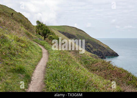 Percorso della costa da Cwm Yr Eglwys a Dinas Isola Il Pembrokeshire Coast National Park. Un nuvoloso giorno di primavera. Foto Stock