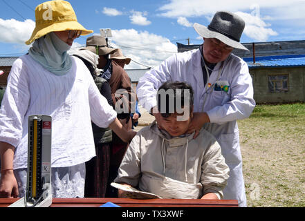 (190624) -- MAQU, Giugno 24, 2019 (Xinhua) -- aiuto medico del team leader ma Taoye(R) tratta un residente locale in Maqu contea di Gannan tibetano prefettura autonoma, a nord-ovest della Cina di Provincia di Gansu, il 23 giugno 2019. Gansu secondo provinciale del popolo ospedale ha inviato oltre 30 medici in quattro lotti per fornire aiuto medico nella contea di Maqu sin dalla fine del 2015. I medici ha superato le difficoltà di malessere da altitudine e scomodo il trasporto durante il trattamento di pazienti sui prati dell'altopiano. Aver servito quasi 10 000 persone finora, il team medico ha risolto i pastori le difficoltà in seein Foto Stock