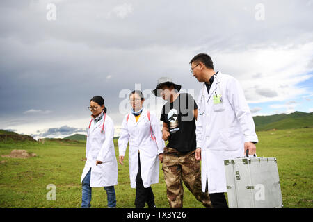 (190624) -- MAQU, Giugno 24, 2019 (Xinhua) -- aiuto medico membro del team a piedi per visitare i pazienti in Maqu contea di Gannan tibetano prefettura autonoma, a nord-ovest della Cina di Provincia di Gansu, 23 giugno 2019. Gansu secondo provinciale del popolo ospedale ha inviato oltre 30 medici in quattro lotti per fornire aiuto medico nella contea di Maqu sin dalla fine del 2015. I medici ha superato le difficoltà di malessere da altitudine e scomodo il trasporto durante il trattamento di pazienti sui prati dell'altopiano. Aver servito quasi 10 000 persone finora, il team medico ha risolto i pastori' difficoltà nel vedere un medico. (Xin Foto Stock