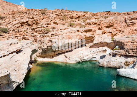 Arabia, Sultanato di Oman, Wadi Bani Khalid Foto Stock