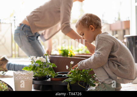 Madre e figlia piantare fiori sul balcone Foto Stock