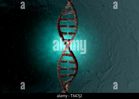 3D reso illustrazione, la visualizzazione di un DNA a doppia elica Foto Stock