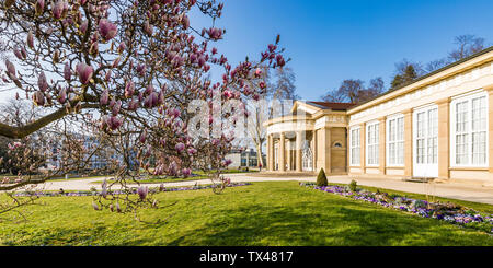 Germania, Stuttgart Bad Cannstatt, parco termale con Magnolia blossom Foto Stock