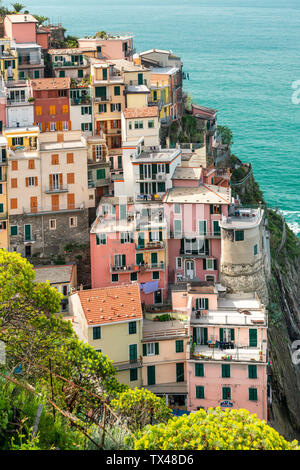 Manarola, le Cinque Terre e la Riviera Ligure, provincia della Spezia, Italia Foto Stock
