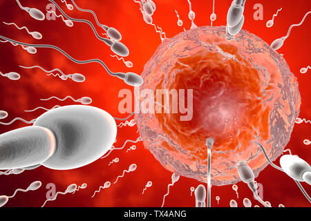 3D reso illustrazione, visualizzazione di cellule spermatiche racing ad un uovo per concimare Foto Stock