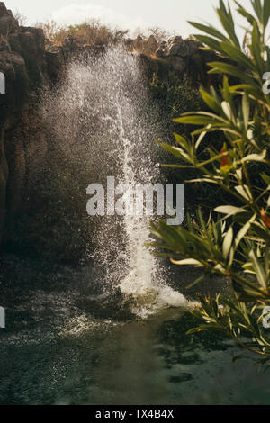 Acqua Splash, Yehudiya Riserva, Golan, Israele Foto Stock