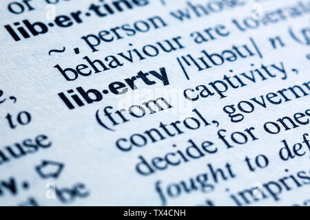 La parola chiave in un dizionario, liberty Foto Stock