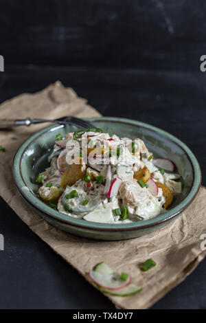 Ciotola di patate fritte con insalata di cetrioli, radicchio rosso, cipolline e maionese dressing di yogurt Foto Stock