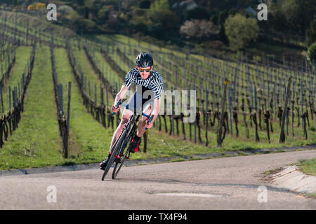 Germania Baden-Wuerttemberg, Fellbach, uomo sul ciclo di corse su strada di campagna attraverso i vigneti Foto Stock